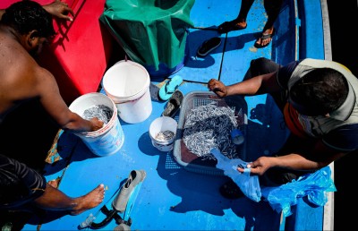 ފޮޓޯ ސްޓޯރީ: ހުރިހާ އެމެއް ކަހާލައިގެން ގެނެސް މިއޮއް ވިއްކަނީ