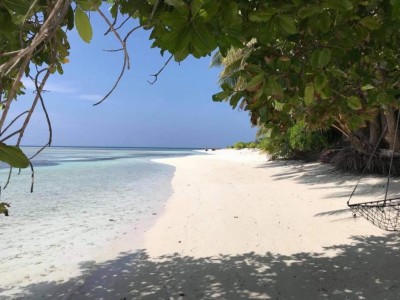 ގެއްލުނު ފަތުރުވެރިޔާ ތިން ކިލޯ މީޓަރު ފެތުމަށް ފަހު އެރީ ވޭވަށަށް