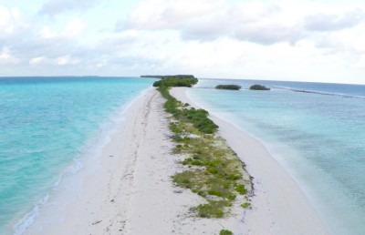 ރިސާޗް ޓީމެއްގައި އުޅުނު 15 އަހަރުގެ ކުއްޖަކު ދޯންޏެއްގެ ބުރަފަތީގައި ޖެހި މަރުވެއްޖެ