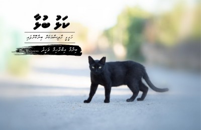 ވާހަކަ: ކަޅު ބުޅާ