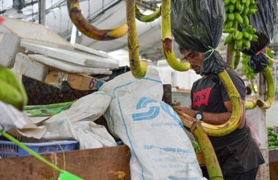 ލޯކަލް މާރުކޭޓުގައި އަނެއްކާ ވެސް ބިދޭސީންގެ އުނދަގޫ