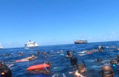 ސިންގަޕޫރު ކުއްޖާ މަރުވީ ދޯނި ފަހަތަށް ޖެހުމުން ބުރަފަތީގައި ތާށިވެގެން