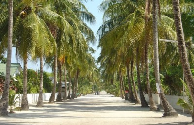 ދައުލަތުގެ ބިންތައް ކުއްޔަށް ދޭ މުއްދަތު އިތުރު ކުރުމުގެ ބާރު ކައުންސިލްތަކަށް