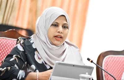 ޔޫއޭއީ އާއި ތައިލެންޑުން އާސަންދަ ލިބޭނެ ދުވަހެއް ވަރަށް އަވަހަށް އިއުލާން ކުރާނެ: ހީނާ