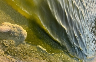 ރާއްޖޭގެ އެކި ހިސާބުތަކުގެ މޫދުގައި ފެހި ގިނަވާތީ ރިޕޯޓްކުރަން އެދިއްޖެ