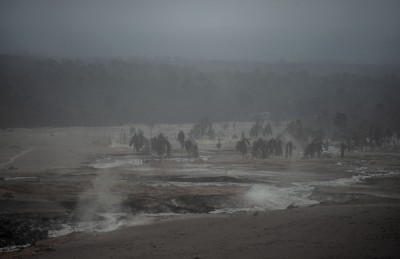 އިންޑޮނީޝިޔާގެ އަލިފާން ފަރުބަދައެއް ގޮވައި 13 މީހަކު މަރުވެއްޖެ