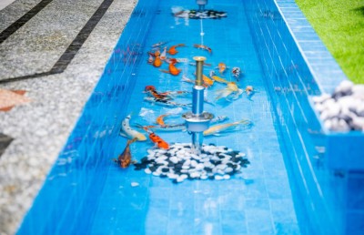 އިސްލާމީ މަރުކަޒުގެ މަސްފެންގަނޑު ސްޓެލްކޯއިން ނިންމާ މިނިސްޓްރީއާ ހަވާލު ކޮށްފި