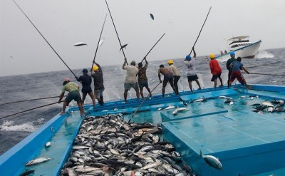 ކަނޑު ފަޅު ނަފާ ލޯނުން ދޯނީގައި ފެން ފިނިކުރާ ނިޒާމު ގާއިމުކުރުމުގެ ފުރުސަތު ހުޅުވާލައިފި