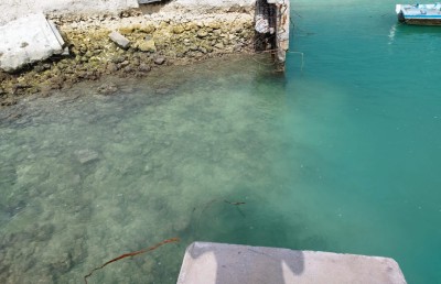 ބަނދަރުގެ މަސައްކަތް ހުއްޓިފައި އޮތުމުން ކުރިނބީ ރައްޔިތުން ނުކުމެ ޓީ-ޖެޓީ ސަރަހައްދު ކޮނެފި