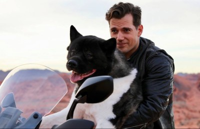 ކެވިލްގެ ހުރިހާ ވެސް އެއްޗަކީ ގެންގުޅޭ ކުއްތާ