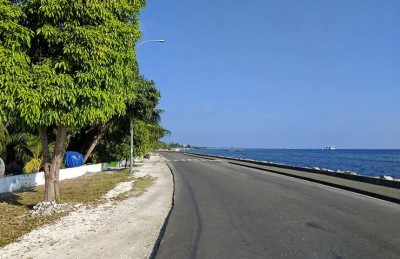 އައްޑޫން ގަސް ކެނޑުން "ހައްދުން ނެއްޓުމުން" ޖަމިއްޔާތަކުން ކަންބޮޑުވެއްޖެ