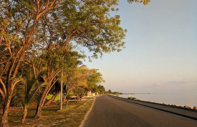 އައްޑޫން ގަސް ކެނޑުން "ހައްދުން ނެއްޓުމުން" ޖަމިއްޔާތަކުން ކަންބޮޑުވެއްޖެ