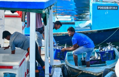 މަސްވެރިންގެ އެތައް ދުވަހެއްގެ ޝަކުވާ، އަދިވެސް ހައްލެއް ނެތް!