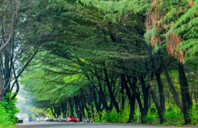 ހުޅުމާލޭގެ ފިތުރޯނުގަސްތައް ހުރި ބިން ވިޔަފާރިތަކަށް