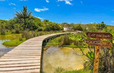 ހަތަރުވަނަ ކުއާޓާގައި ބީއެމްއެލްގެ އެހީ ފަސް ރަށަކަށް