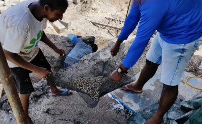 އިހުގައި ދިވެހިން ފައިސާގެ ގޮތުގައި ބޭނުން ކުރި ކަހަލަ ބޮލި ހުރި ވަޅެއް ރިނބުދޫން ފެނިއްޖެ