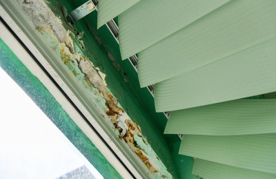 ވަގުތީ ތަނަކަށް ބޭނުންވަނީ ރާވާ އިމާރާތެއް: އަރަބިއްޔާގެ ބެލެނިވެރިން