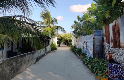 ގުރައިދޫގައި ހަތަރު މަހުގެ ކުއްޖެއްގެ މަރުގައި ޝައްކު އުފެދޭތީ ޕޯސްޓްމޯޓަމް ހަދަނީ