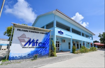 މަހުގެ ބާވަތްތައް އުފައްދަން މިފްކޯ އިން މީހުން ތަމްރީނު ކުރަނީ