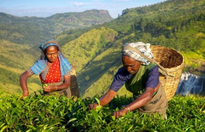 ލަންކާ އިން އީރާނަށް ސައިފަތުން ދަރަނި ދައްކަނީ