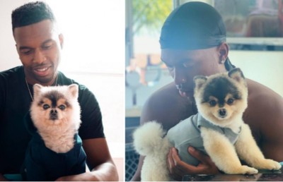 ގެއްލުނު ކުއްތާ ހޯދި މީހާއަށް އިނާމު ނުދިނުމުން 30،000 ޑޮލަރު ދޭން ޖެހިއްޖެ