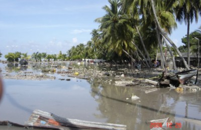 ސުނާމީގައި ވަކިވެ ދިޔަ ދަރިފުޅު އަދިވެސް ހީވަނީ އުޅޭހެން!