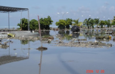 ސުނާމީގައި ވަކިވެ ދިޔަ ދަރިފުޅު އަދިވެސް ހީވަނީ އުޅޭހެން!