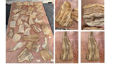 ރާއްޖެއިން ވަގަށް ބޭރުކުރަން އުޅުނު ބައިޓަނުގެ މިޔަރާއި މަޑިމަސް ހިފަހައްޓައިފި