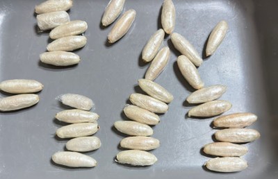 ދިރުވާލައިގެން އެއް ކިލޯގެ ޑްރަގް އެތެރެކުރި މީހަކު އަތުލައިގަނެ، ހަވާލުވާން ދިޔަ މީހާ ހައްޔަރުކޮށްފި