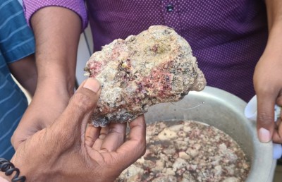 އަކިރި ނަގަން އުޅުނު މީހަކަށް "މާވަހަރެއް" ފެނިއްޖެ