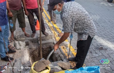 އަނބު ގަހަކުން، މާލޭގައި 100،000 ގަސް އިންދުމުގެ ޕްރޮގްރާމް ފަށައިފި