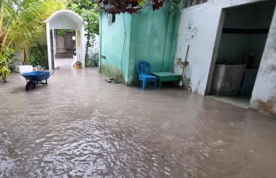 ވިއްސާރައިގައި އެންމެ ބޮޑު ގެއްލުމެއް ނިލަންދު އާއި ހިންމަފުއްޓަށް