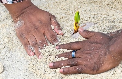 ބަންޑާރަ ގޯތި ހިލޭ ދިނުން ހުއްޓާލަންވީ!