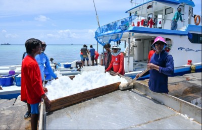 މަސްވެރިންގެ އާމްދަނީ ތިން ގުނަ ވާނެ ބަދަލެއްގެ ހުވަފެން!