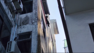 މާލޭގެ ގެއެއްގައި އަލިފާނުގެ ހާދިސާއެއް ހިނގައިފި