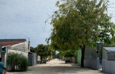 އުދައްޔުގެ މަރު: ހެކިންގެ މައުލޫމާތު ސިއްރުކުރަން ނިންމައިފި