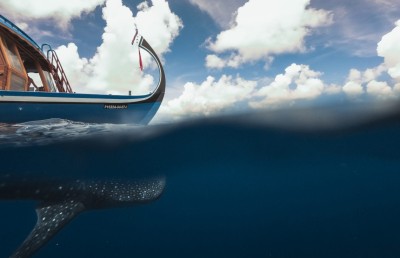 ފެހުރިހި ބަލަން ވަންނަ އުޅަނދުތަކުގެ ބުރަފަތީގައި ގާޑު އަޅުވަންޖެހޭ ގޮތް ހަދަނީ