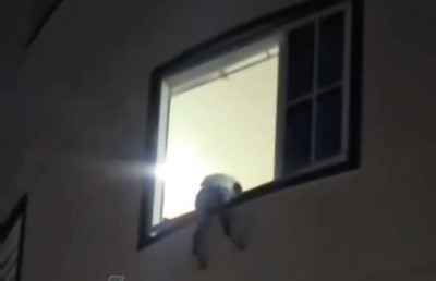 ބިރުވެރި މަންޒަރެއް, ކުޑަ ކުއްޖަކު ފަސްވަނަ ބުރިން ވެއްޓެނިކޮށް ސަލާމަތްކޮށްފި!