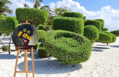 ލަކްސްގެ ކުރެދި ގަސްތަކުން ހިތްގައިމު ޑިޒައިނެއް