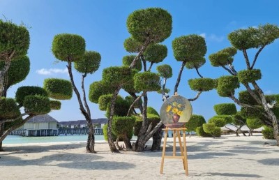 ލަކްސްގެ ކުރެދި ގަސްތަކުން ހިތްގައިމު ޑިޒައިނެއް