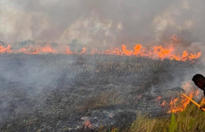 އައްޑޫ މަތިކިޅި ޗަސްބިމުގައި އަލިފާން ރޯވެއްޖެ