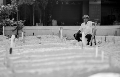 ރާއްޖެ އިން އެންމެ ގިނަ މީހުން މަރުވި ބަލިމަޑު ކަމަކަށް ކޮވިޑް ވެއްޖެ!