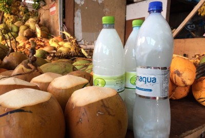 ރޯދަ ވީއްލަން ކުރުނބާ ފަނި ތަ ނޫނީ ކަރާ ފަނި ތަ؟