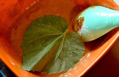 ދަރަވަންދޫ އައްތަ ޕާޕަރު: އެހާ މީރު، އެހާ މުރަނަ