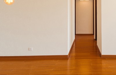 ހިތްގައިމު އަކުއާ ވީޓާގެ އެޕާޓްމަންޓްތައް ނިމެނީ