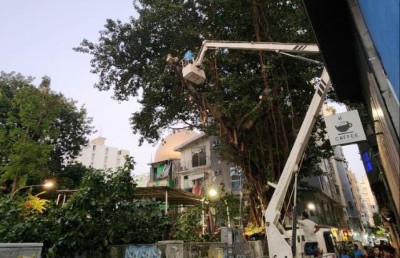 ޕީޓްރަލް ސަރަހައްދުގައި ހުރި 35 އަހަރުވީ ނިކަގަސް ކަނޑާލަނީ