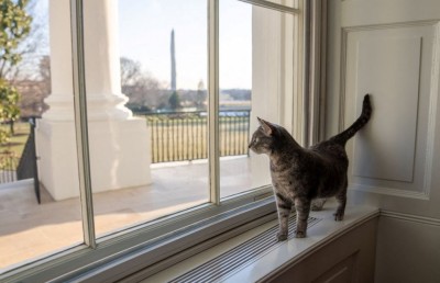 ބައިޑެންގެ އާއިލާއިން ވައިޓް ހައުސްގައި ބުޅަލެއް ގެންގުޅެނީ