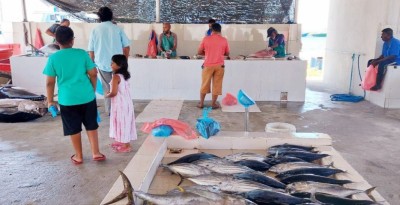 މަސް މާރުކޭޓުގައި މިދުވަސްވަރު މަހުގެ އަގުތައް ދަނީ އުފުލެމުން