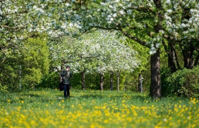 ދުނިޔޭގެ ގަސްތަކުގައި 9،200 ވައްތަރު ސައިންސްވެރިނަށް އަދި ނުފެނޭ