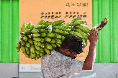 މުދަލާއި ޚިދުމަތުގެ އަގު ހަތަރު އިންސައްތަ ބޮޑުވެއްޖެ